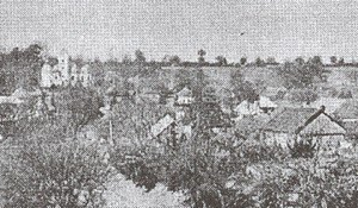 8. fotografia fotogalérie História