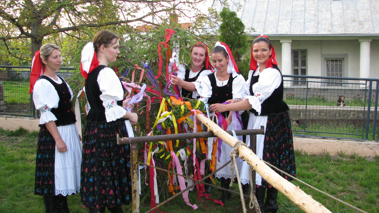 Fotografia fotogalérie Kultúra