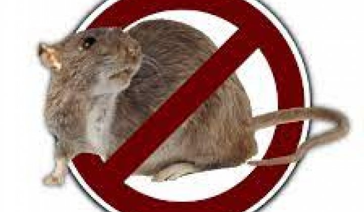 Fotka - Jesenná preventívna celoplošná deratizácia